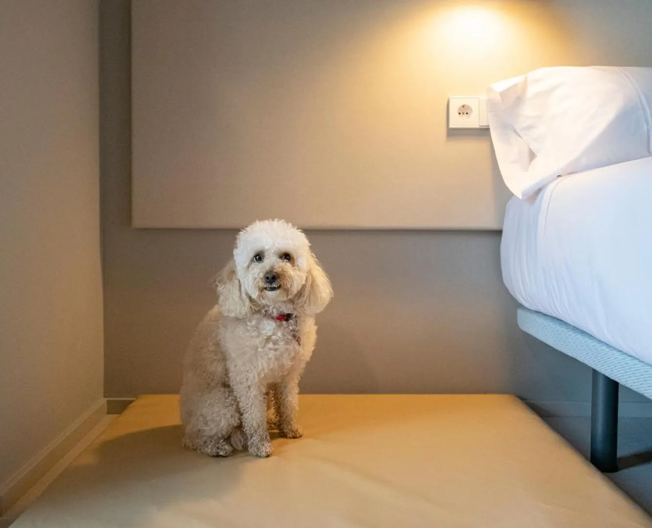 アパート Apartaments La Carpa バニョラス スペイン